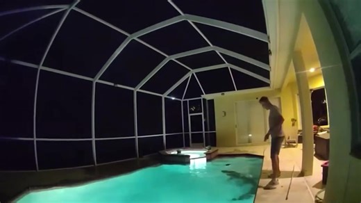 Police officer and trapper pull alligator from swimming pool in Florida