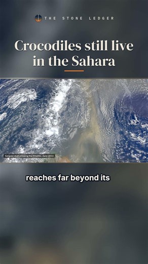 Crocodiles Still Live in the Sahara