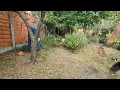Extreme Garden Cleanup (12 Hours in 3 Minutes)