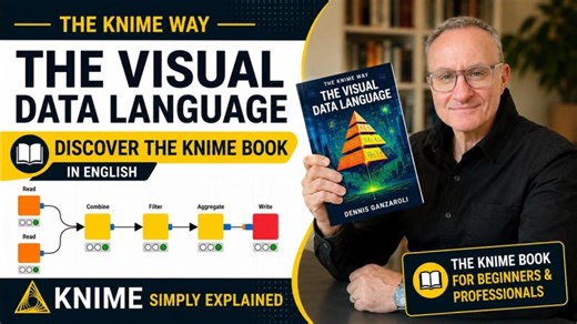𝗧𝗵𝗲 𝗩𝗶𝘀𝘂𝗮𝗹 𝗗𝗮𝘁𝗮 𝗟𝗮𝗻𝗴𝘂𝗮𝗴𝗲 - 𝗗𝗶𝘀𝗰𝗼𝘃𝗲𝗿 𝘁𝗵𝗲 𝗞𝗡𝗜𝗠𝗘 𝗕𝗼𝗼𝗸 | Dennis Ganzaroli