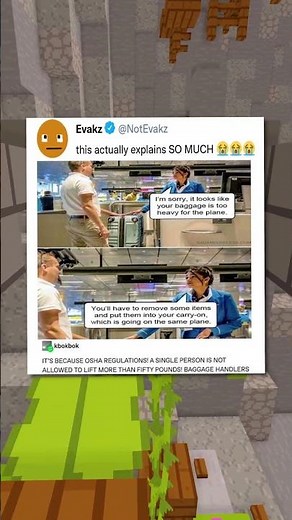 Airplane Baggage Explained?! 🧳
