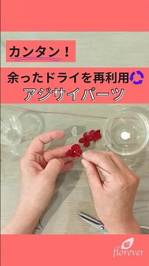 カンタン！余ったドライを再利用 アジサイパーツの作り方 #プリザーブドフラワー #ハンドメイド #作り方動画