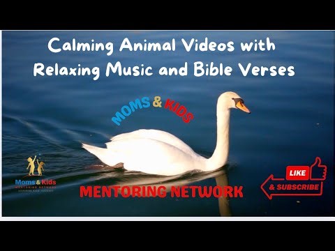 Soothing Music with Animals + Bible Scriptures