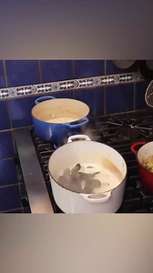 Mussels for ALL! 🐚 | The Chef Michel