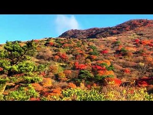 紅葉 カラフルなくじゅうの観光 九重連山久住山牧ノ戸峠登山口 Kuju mountain range of autumn leaves