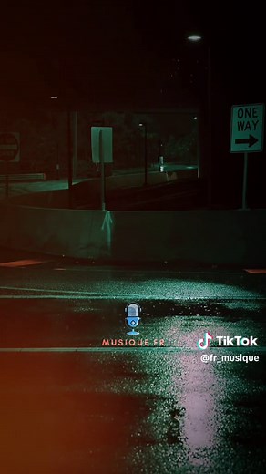 Mon fils de Michel Sardou : Chanson nostalgique française