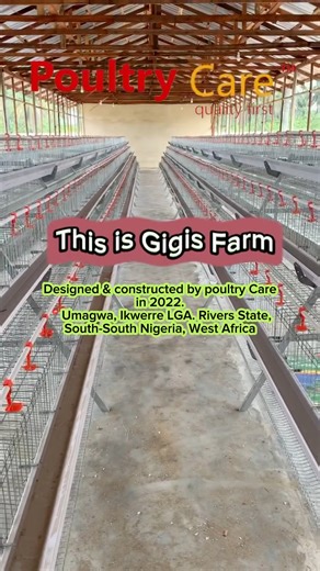 17K views · 291 reactions | Designed & constructed by Poultry Care in...