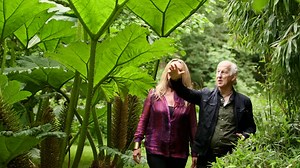 Dream Catchers - Full Series | Television | NZ On Screen