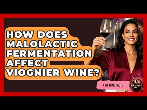 How Does Malolactic Fermentation Affect Viognier Wine? - Fine Wine Facts