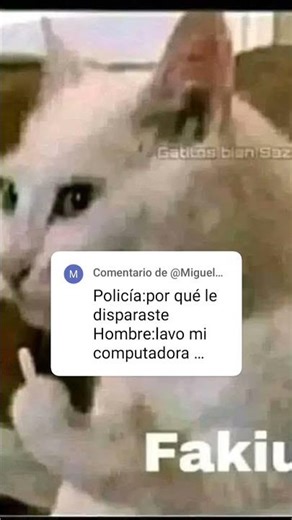 le hubieras dado con el monitor de computadora