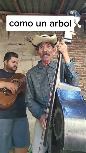 De las composiciones de panchito, COMO UN ARBOL, parte 3 #corridos #acordeon #musica #tolo #regional