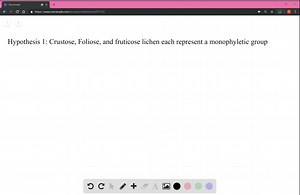 SOLVED:The fungus-alga symbiosis that makes up a lichen is thought to have evolved multiple times independently in different fungal groups. However, lichens fall into three well-defined growth forms (see Figure 31.22 ). How could you test the following hypotheses: Hypothesis 1: Crustose, foliose, and fruticose lichens each represent a monophyletic group; and Hypothesis 2: Each lichen growth form represents convergent evolution by taxonomically diverse fungi.