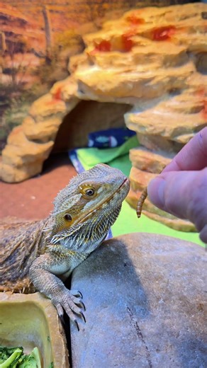 That worm hit DIFFERENT 💀