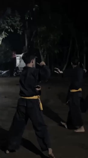 Pencak Silat: Menambah Wawasan dengan Belajar Seni Bela Diri