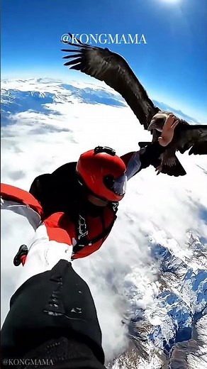 When a Wild Condor Trusts a Human in Mid-Flight – A Moment of Pure Connection #wingsuit #condor