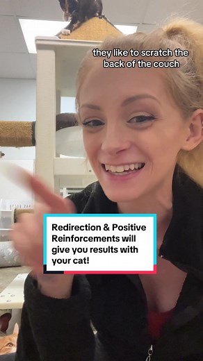 Effective Ways to Train Your Cat and Stop Unwanted Behavior