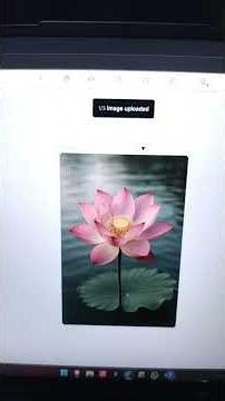 how to vectorise your images using AI.