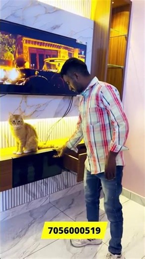 aluminium LED panel in karnal