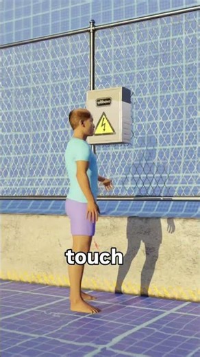 The Bird Power Line Mystery😨🦜 #3danimation #facts #factsvideo #bird #electricity