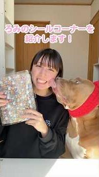 Introducing the sticker corner! Unopened Bonbon Drop stickers too?! [Bonbon Drop Stickers] #shorts