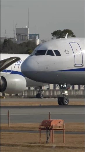 お先に失礼します！ANA A321 neo #Shorts