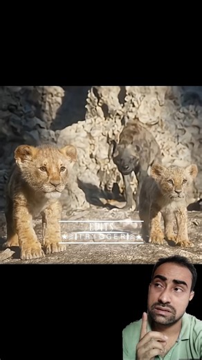 Wow Angry Lion 😱 #shorts #trending #viral #lion #animals #attack