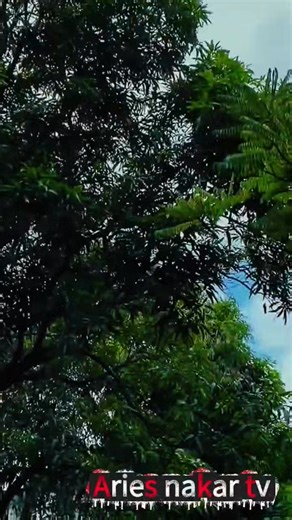 "ang girlfriend kung multo" #friendsfollowersViewers #aswangstory #drama | Aries Nakar tv