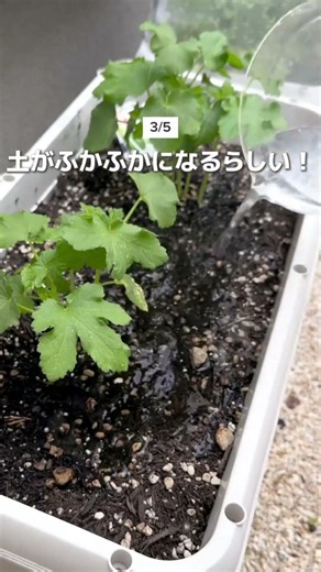 食べ終わった納豆が大活躍！排水口も喜ぶ裏ワザ😳