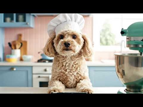 Chef Boo’s Kitchen Chaos🍰 Batter Everywhere & Bunny Momo Turns Into a Cake! 😂🐶🐰