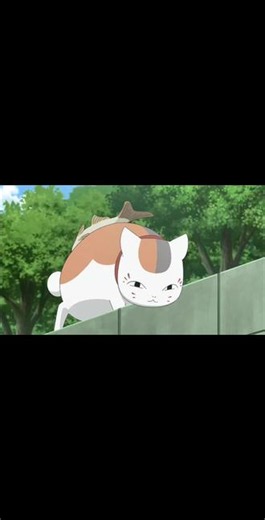 天塌了的三三 #夏目友人帐 #夏目贵志和猫咪老师 #夏目友人帐剧情 #猫咪老师和夏目 #夏目友人帐猫咪老师