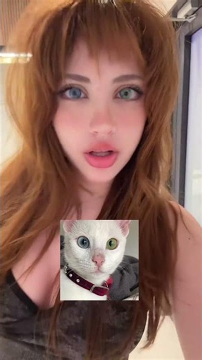 meow meow hiri blue and hiri green lenses hehe use code hiri for discount from @TTDeye Colored Con