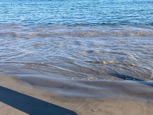 Mobile Fishing Permits For Corson's Inlet State Park Now Online