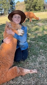 29K views · 1.3K reactions | Can you guess who's foot this is - this animal has 2 toes with hard toenails on top and a soft pad on the bottom of their feet! Its an alpaca! 蓮 #endangeredspecies #conservation #factsyoudidntknow | Brooke.Carter | Facebook