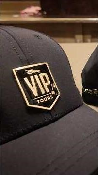 Disney World VIP Tour | Is it Worth It?
