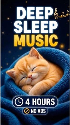 Can't Sleep? This Piano + Cute Cat Will Fix It 😴 No Ads Guaranteed #insomnia #sleepmusic #relaxing