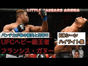 【現人類最強】UFCヘビー級王者フランシス・ガヌーのKOシーン・ハイライト集