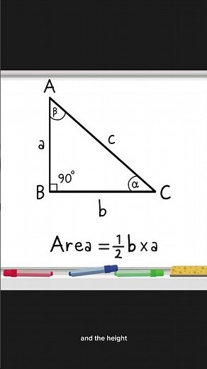 Triangles Perimeter and Area #math #matematicas #geometry #stem #learntocode