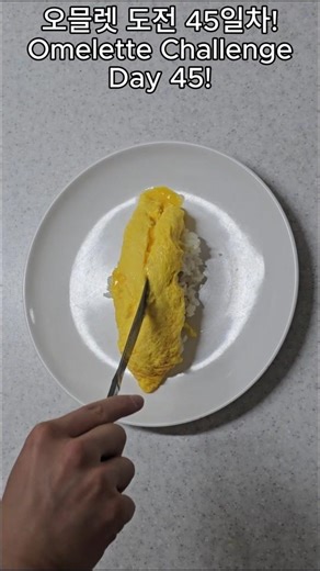 오믈렛 도전 45일차! Omelette Challenge Day 45!
