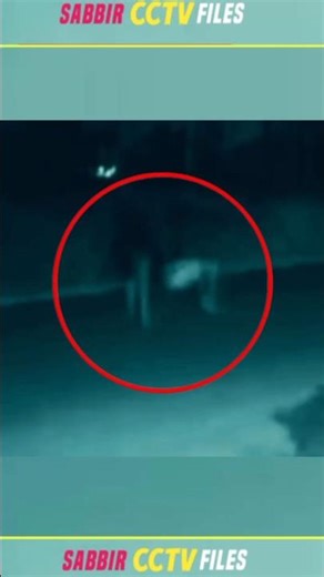 “Who Is This Shadow Walking in the Dark?” #shorts #shortsfeed #patnar-2