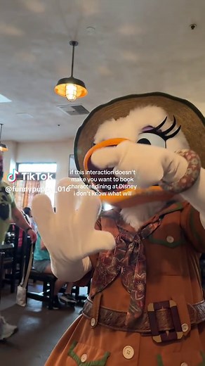 Daisy and Donald Duck's Fun Moments at Disneyland