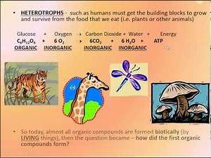 Organic vs Inorganic Compounds