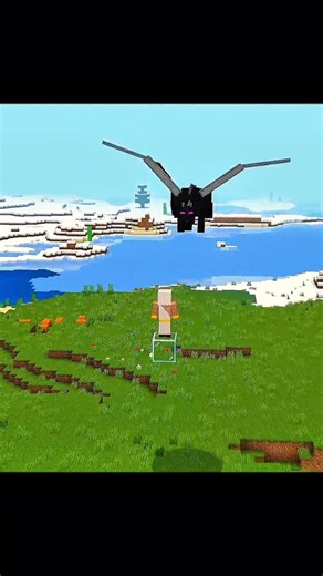 Story Of Minecraft Ender Dragon 🫵 |