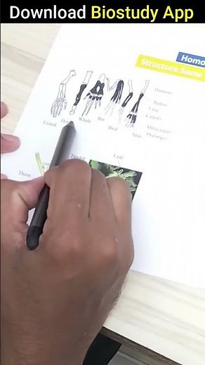 1 मिनिट मे Concept याद 🤩Evolution class 12 biology I analogous and analogous organ #biology