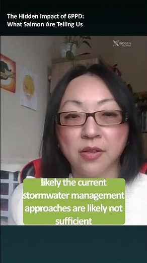The Hidden Impact of 6PPD: What Salmon Are Telling Us