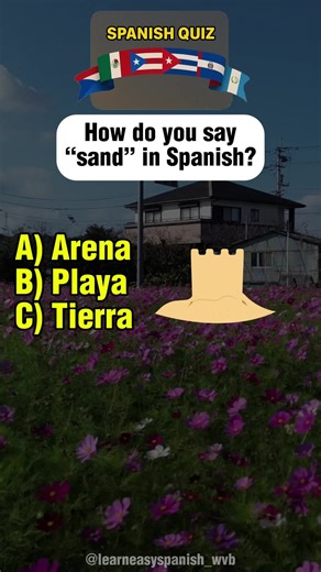 Aprende español en la playa con palabras útiles