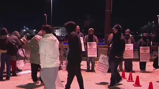 Workers at JBS meat processing plant in Greeley hit the picket lines