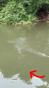 47K views · 213 reactions | Skip casting! #fishing | Fly fishing | Facebook