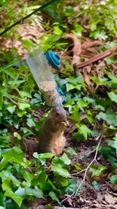 10K views · 40 reactions | Rumble on Reels | Facebook