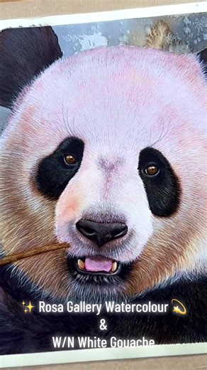 ✨ Painting of a Giant Panda using Rosa Gallery watercolours and Winsor & Newton white gouache. Full video on my YouTube channel: https://youtu.be/3I44uQB5c38?si=6JqGoAC4nhndiyxJ @Winsor & Newton #artist #artistatiktok #artistonyoutube #wildlifeart #watercolour