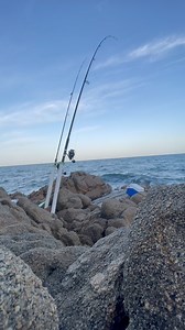 Look at the Rod Bend Snapper #highlights #fishing #1m | Pinoy Australia